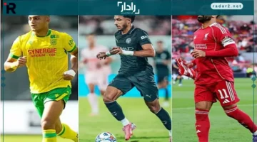 أبرز فعاليات أسبوع المحترفين المصريين في أوروبا تجمع نجوم الأعمال والابتكار